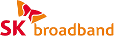 전기구조대 협력사 SK broadband